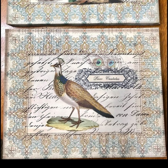 *Set of 2* Peacock Canvas Prints - Picture 2 of 2